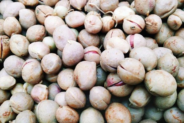 Import of Bambara Beans Decreases to $30K in South Africa by 2023